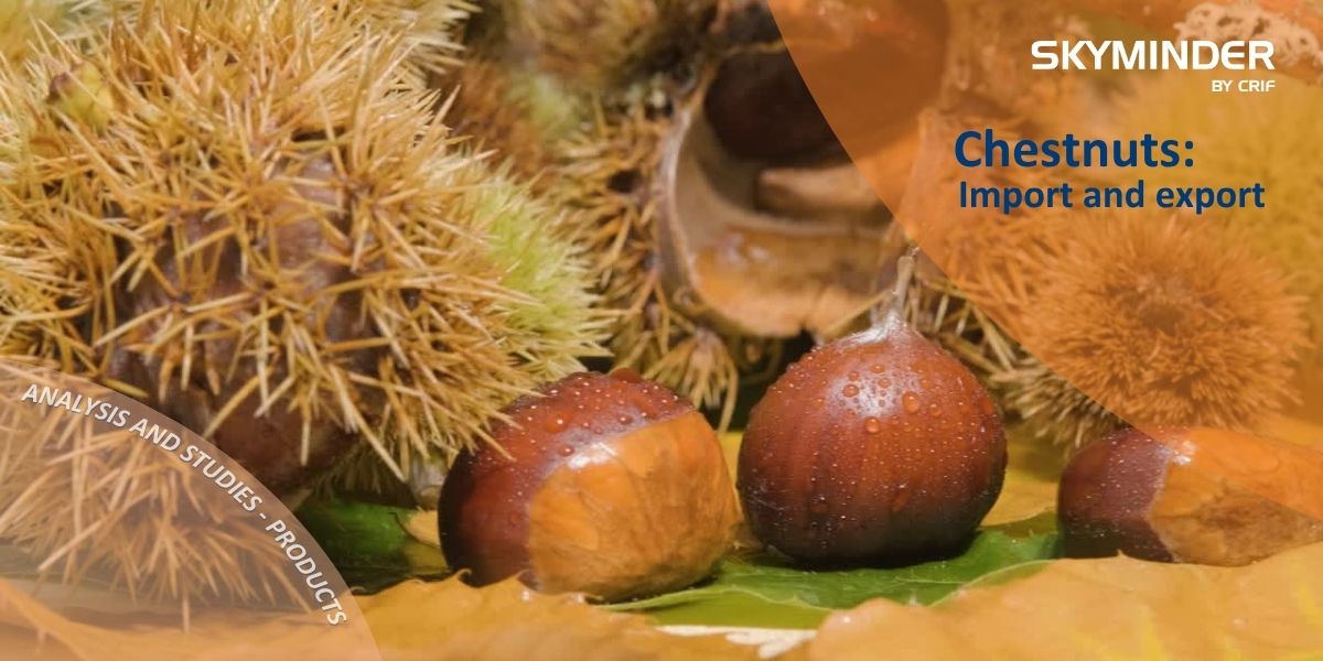 Copy Of Chestnuts Import And Export (1)