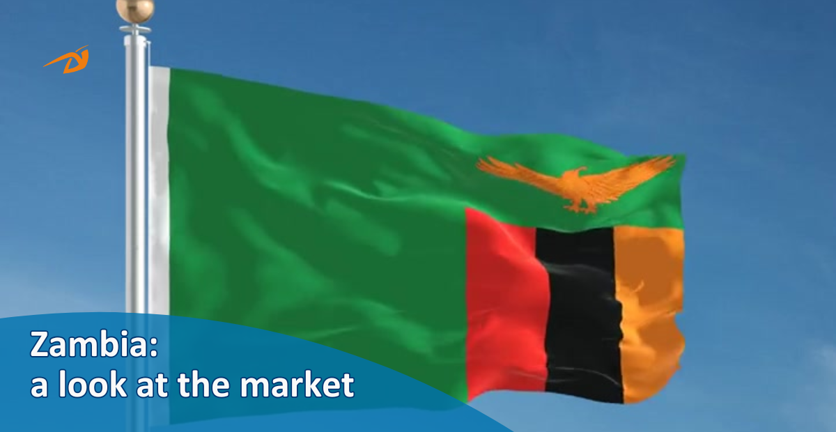 Zambia: a look at the market