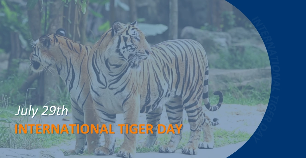 BANNER INTERNATIONAL TIGER DAY