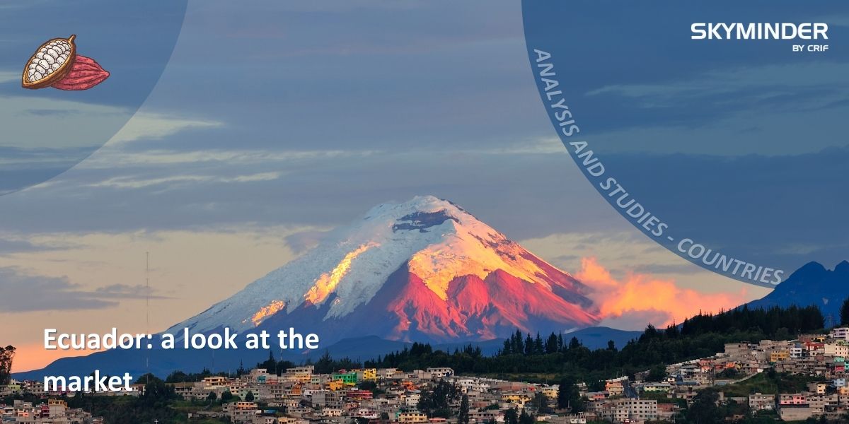 Blog Ecuador A LOOK AT THE MARKET (1)