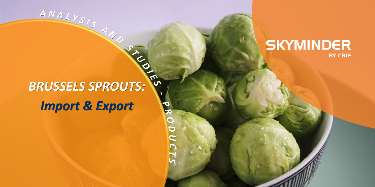 BRUSSELS SPROUTS Import & Export