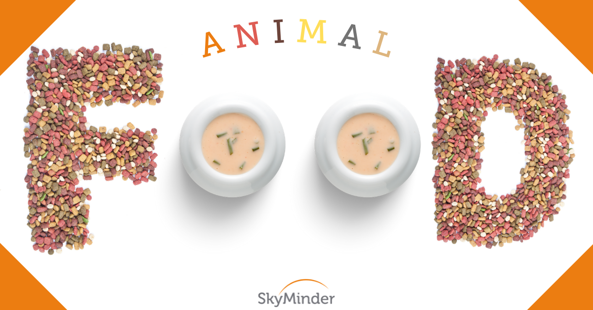 Animal
