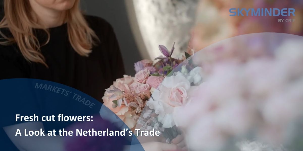 Copy Of Fresh Cut Flowers A Look At The Netherland's Trade