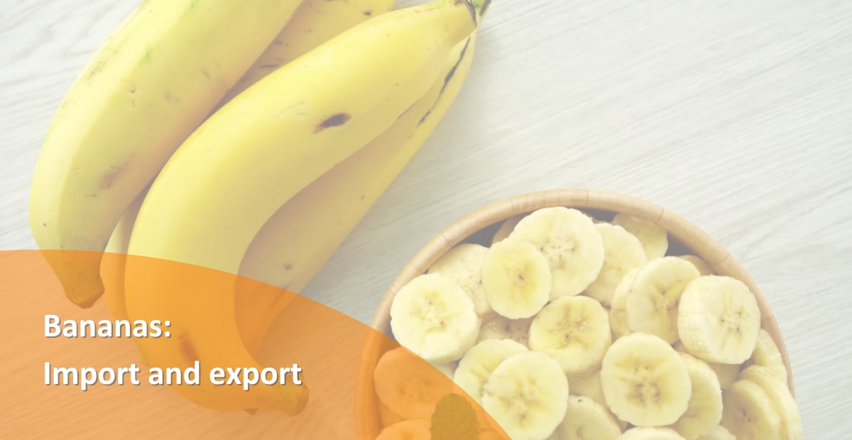 BANNER BANANAS