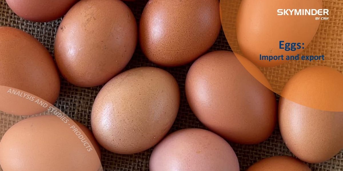 Copy Of Eggs Import And Export