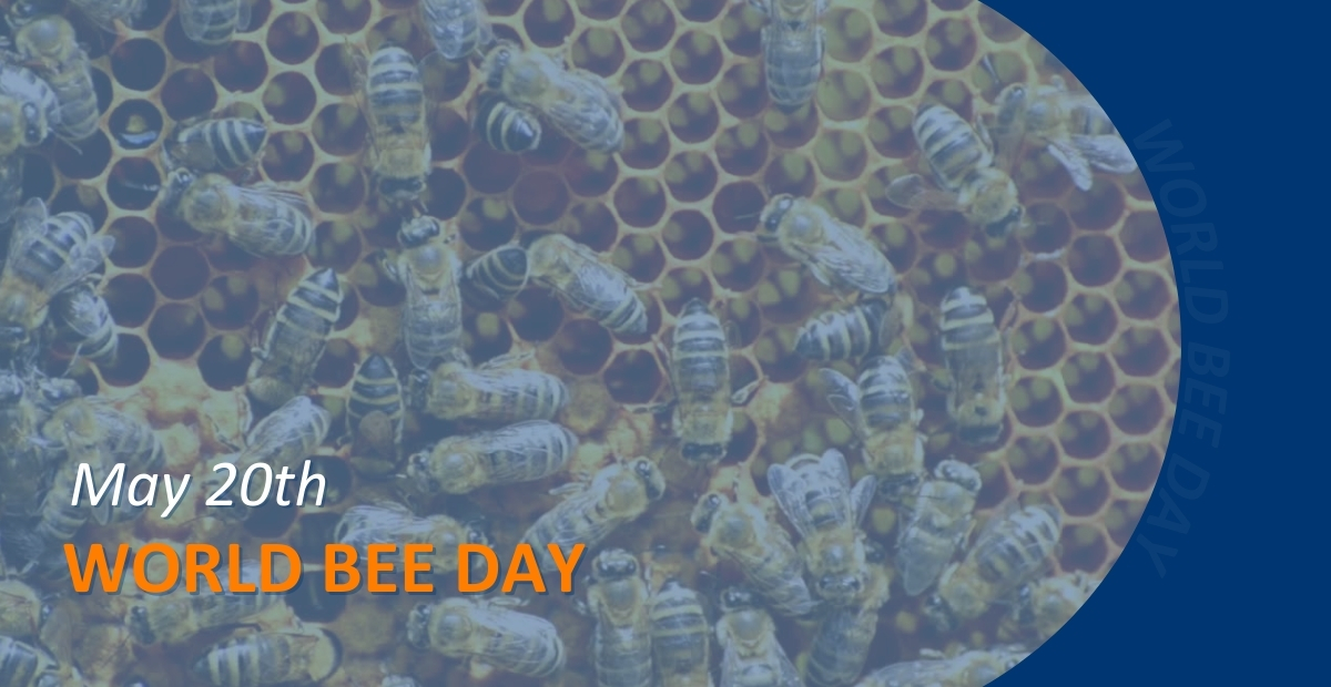 WORLD BEE DAY BANNER