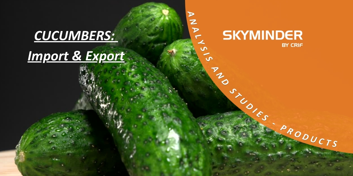 CUCUMBERS Import & Export