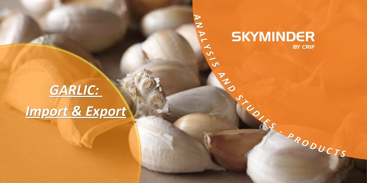 GARLIC Import & Export (1)
