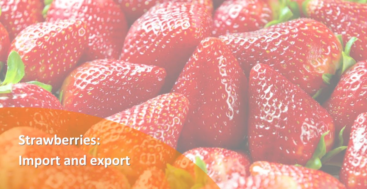 BANNER STRAWBERRIES