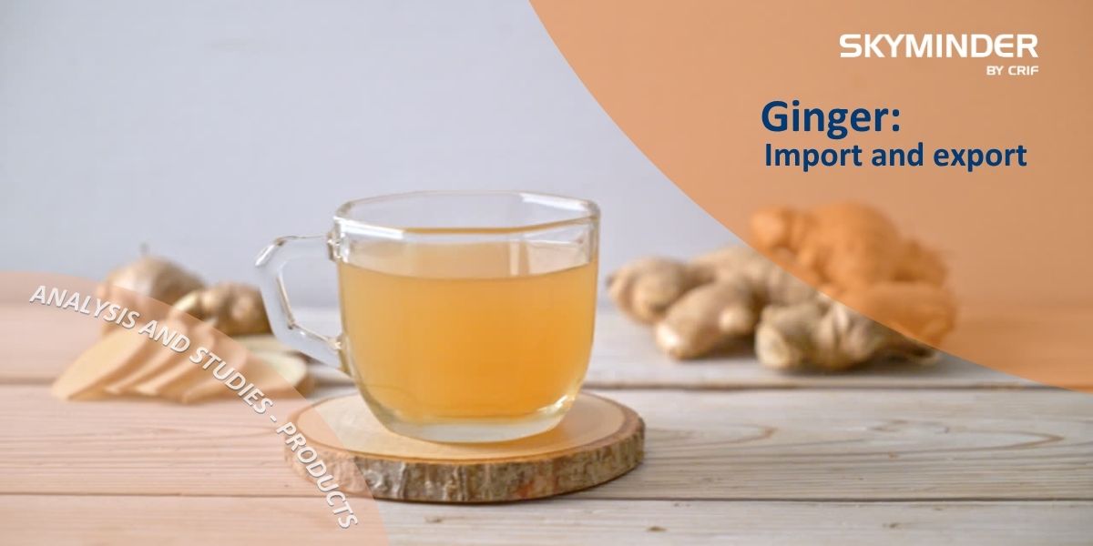 Copy Of Ginger Import And Export