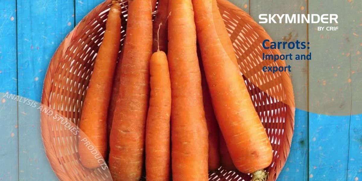 Copy Of Carrots Import And Export (1)