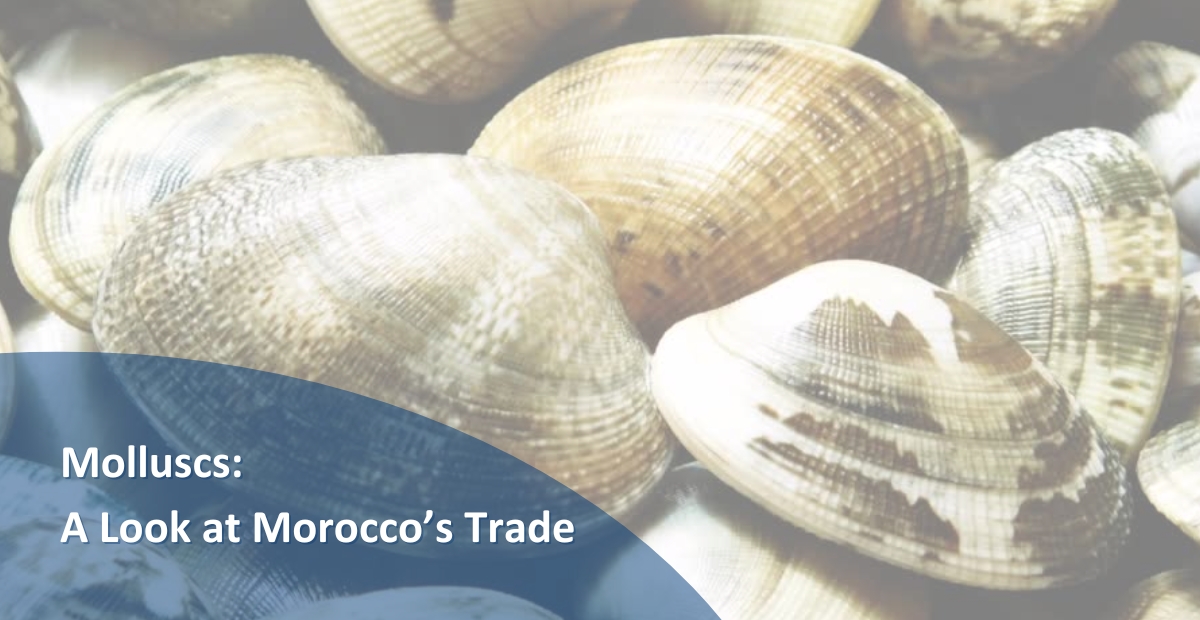 BANNER MOLLUSCS