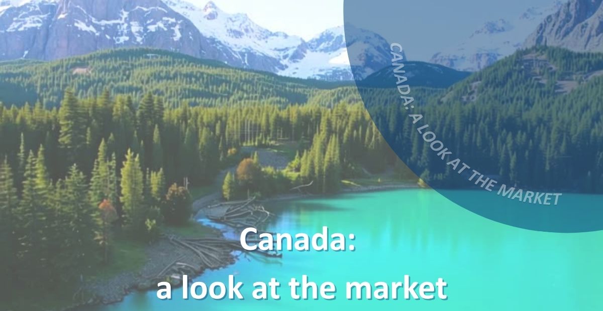 Copy Of CANADA A LOOK AT THE MARKET (1)