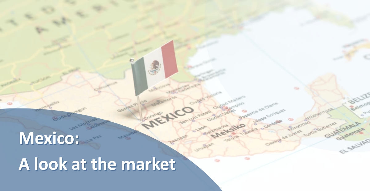 BANNER MEXICO