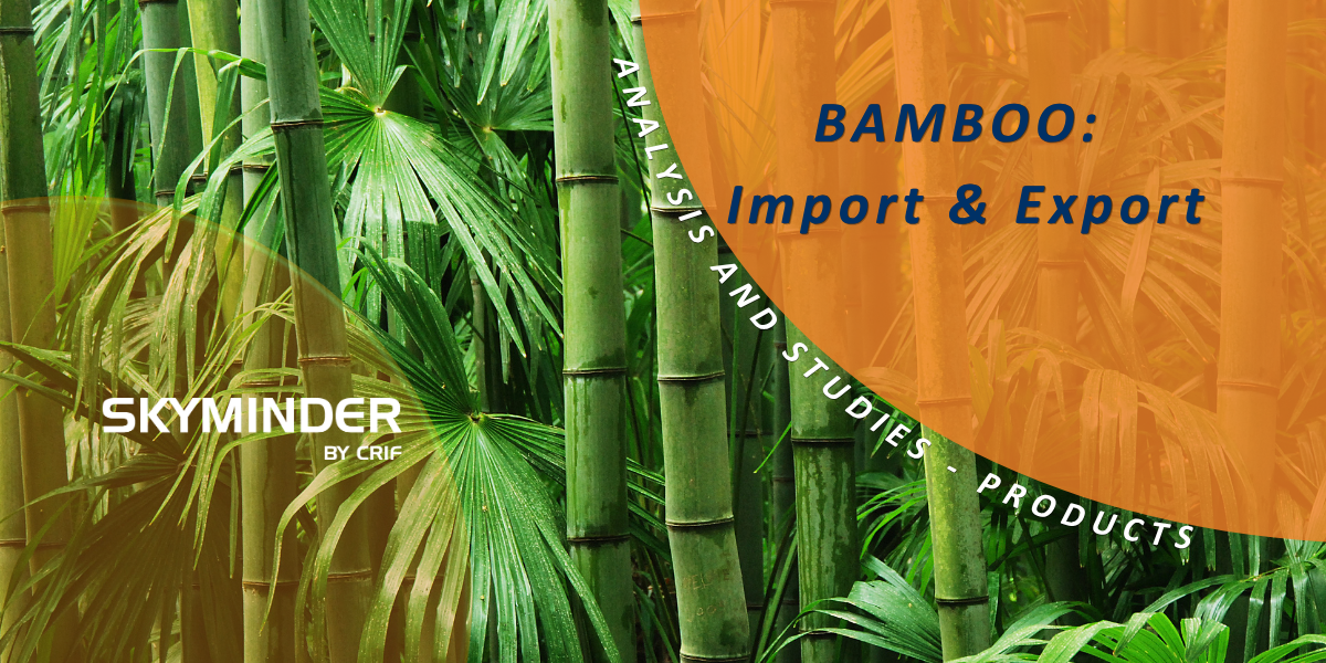 BAMBOO Import & Export (1)