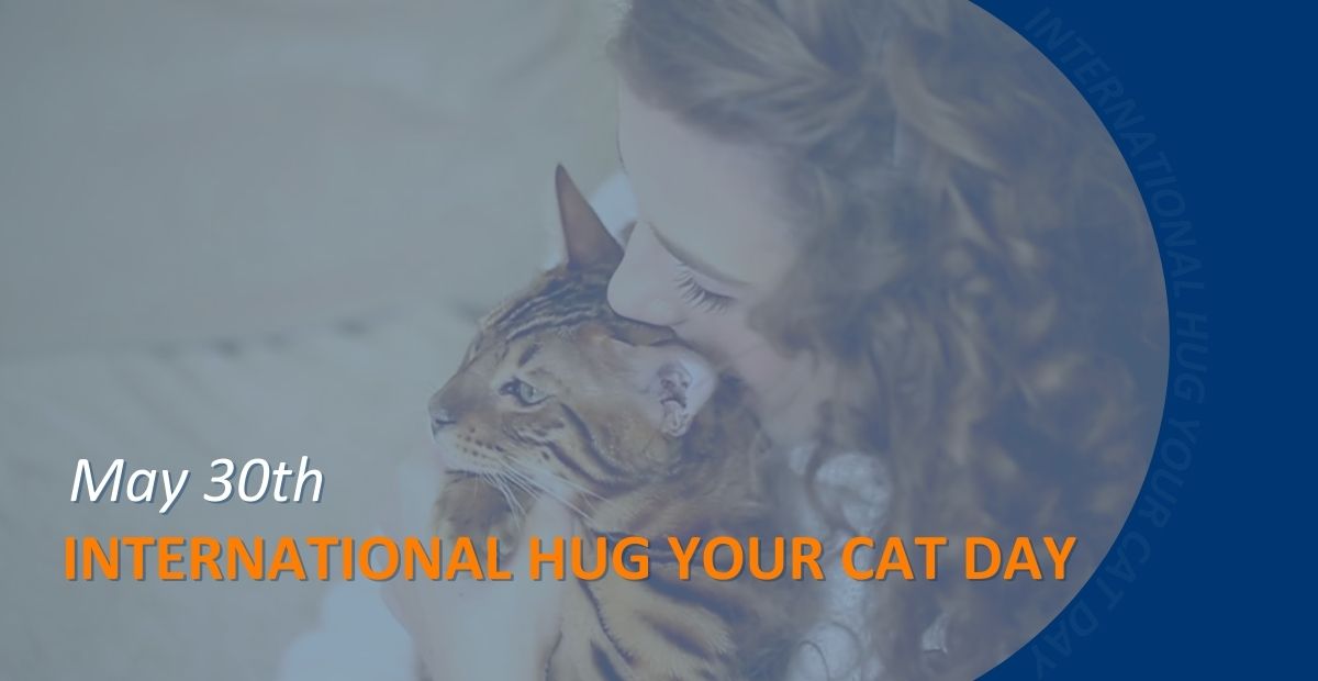 INTERNATIONAL DAY OF CATS BANNER