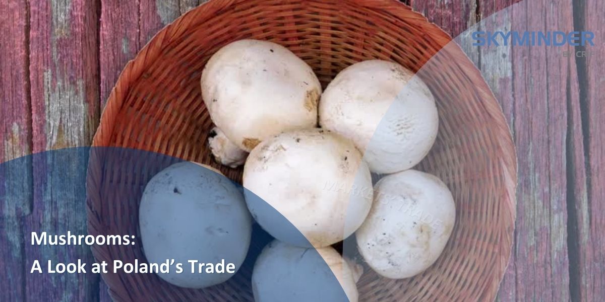 Copy Of Mushrooms A Look At Poland's Trade