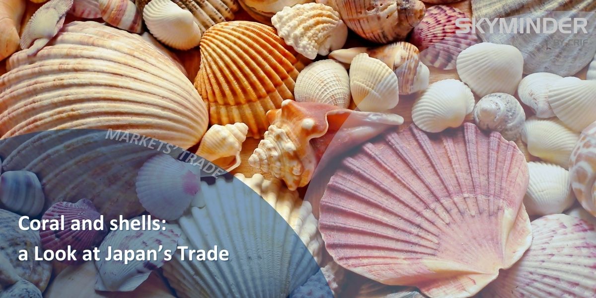 Copy Of Coral And Shells A Look At Japan's Trade