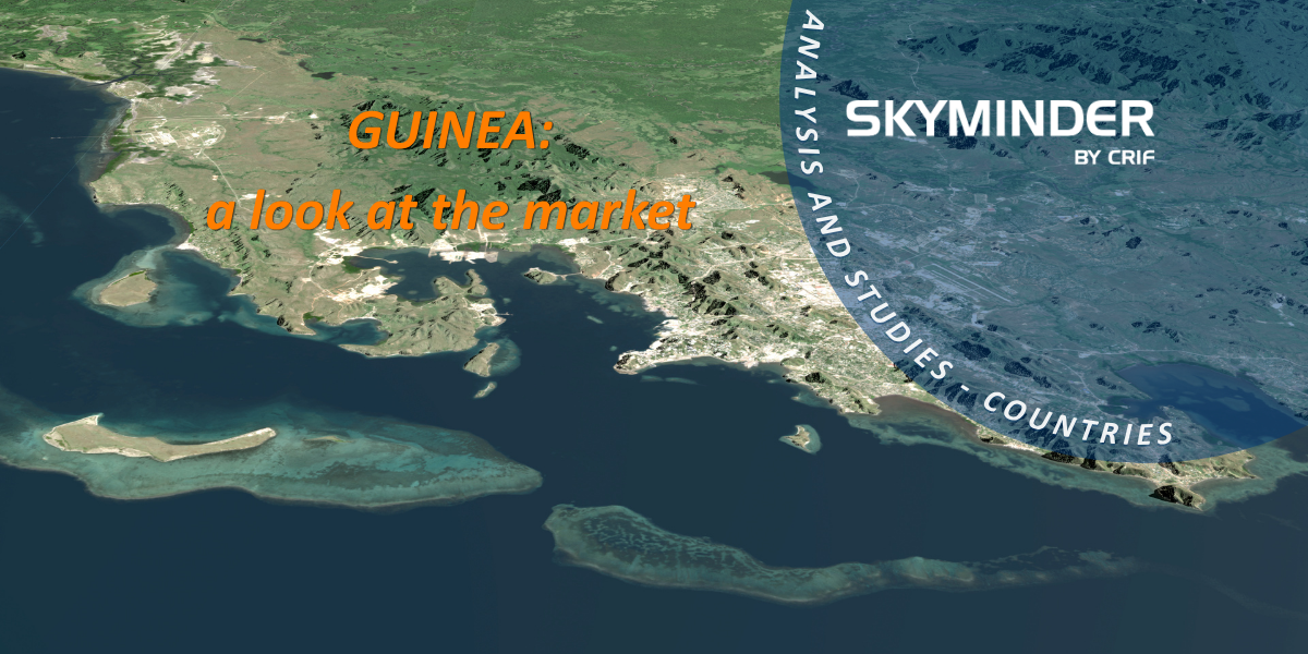 GUINEA A Look At The Market