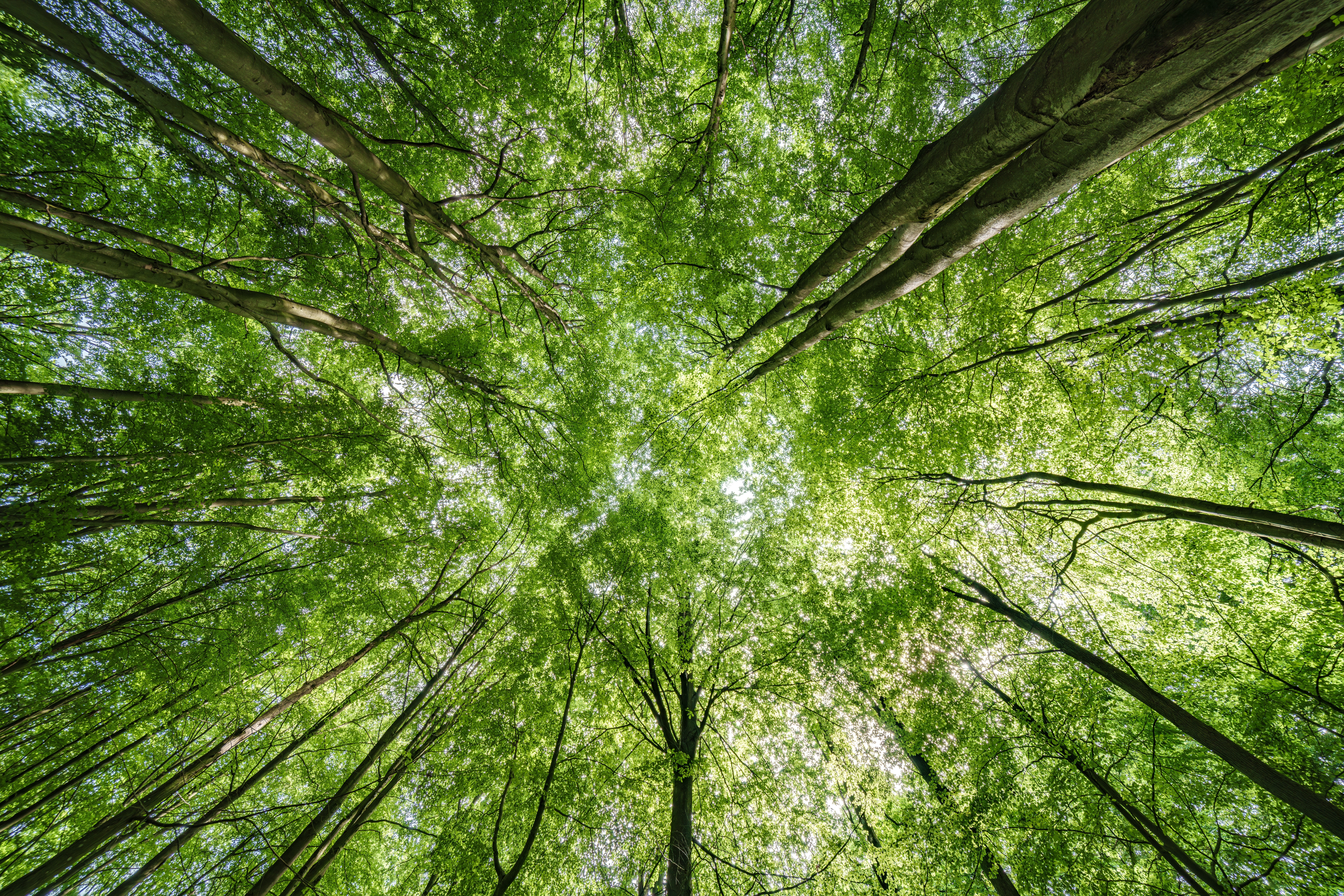 Shutterstock 2497919701