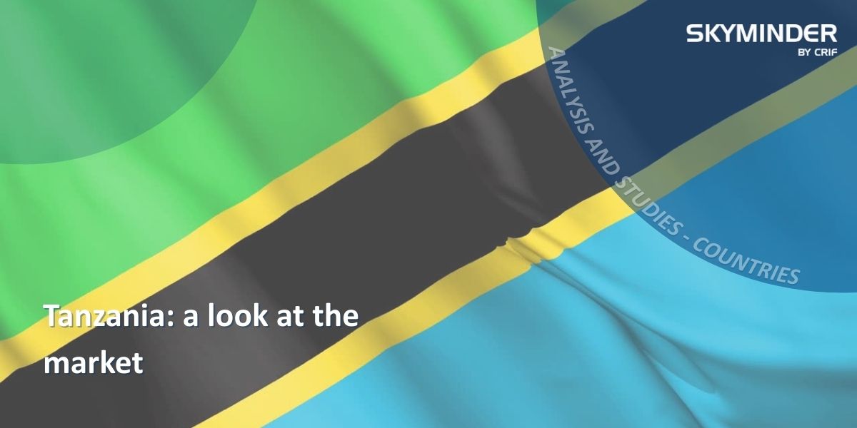 Copy Of Tanzania A Look At The Market (1)